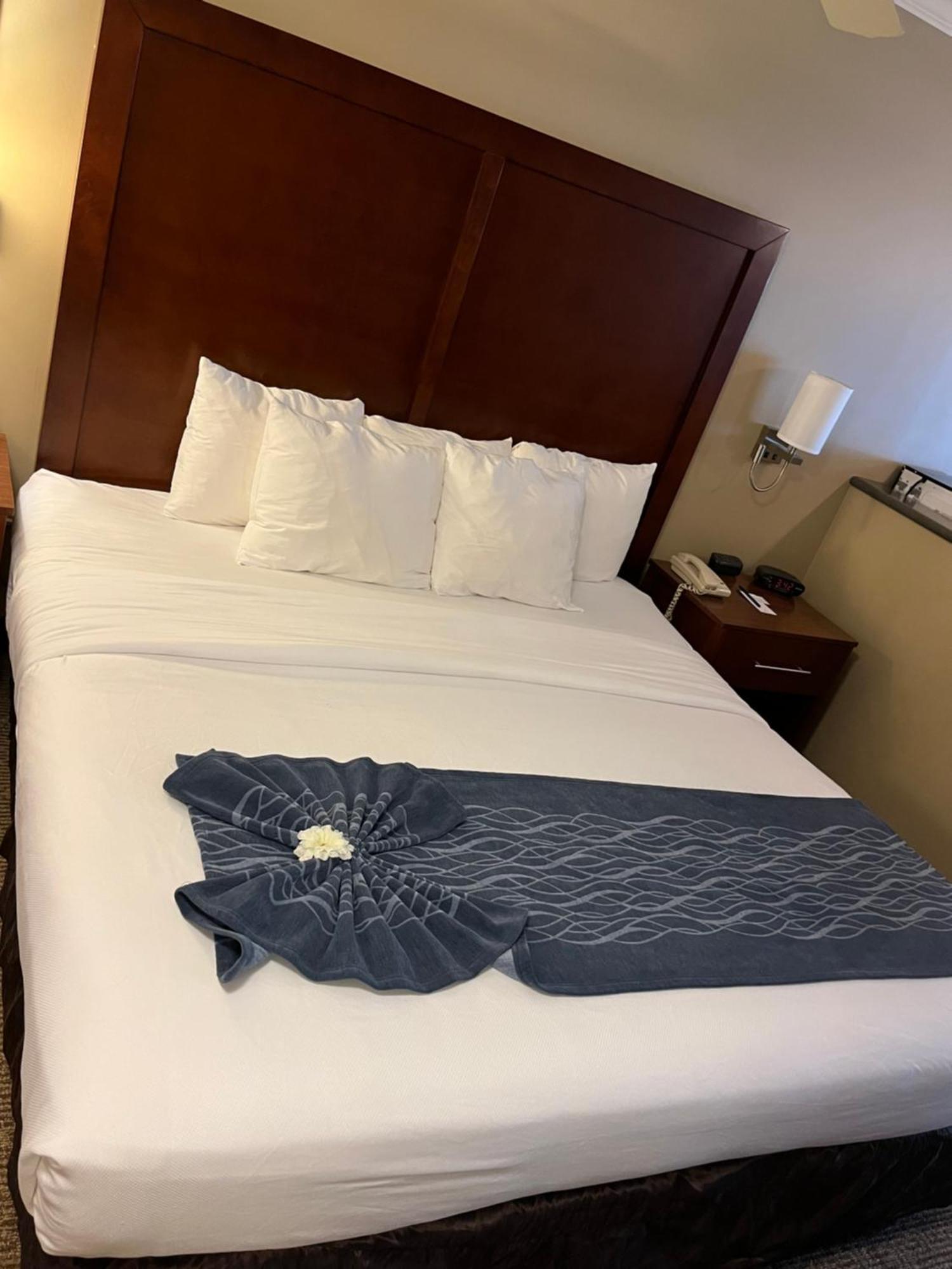 Comfort Inn & Suites Ocean Shores Buitenkant foto