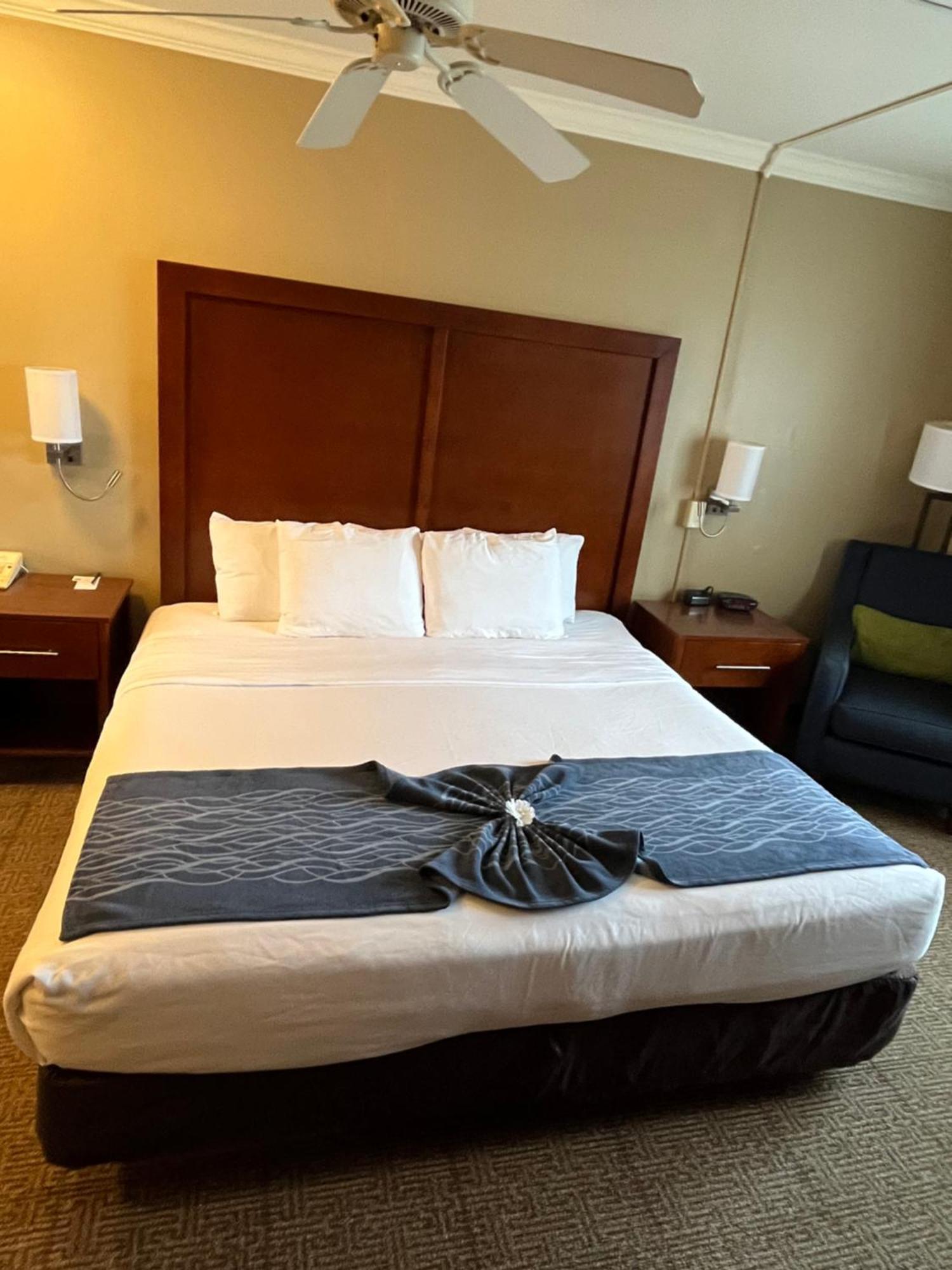 Comfort Inn & Suites Ocean Shores Buitenkant foto